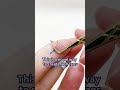 A novel, silky-smooth fanning technique #lashfactory #lashes#volumelash #eyelashextensions #beauty