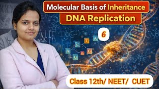 DNA Replication Process