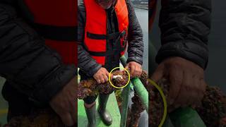 Looks Like Garbage Outside, But Inside Its Completely Different