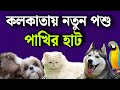 কলকাতার নতুন পশু পাখির হাট | New Pet Market of Kolkata