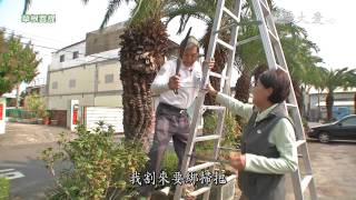 【草根菩提】20150515 - 368出去走走 - 台江尋幽