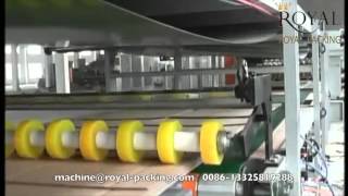 MJDM 2 Double Conveyor and Stacker