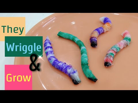 Tissue paper worms. Growing wriggly worms. Science experiment for kids. Step-by-step tutorial.