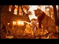 Gingy &amp; Mom Meet a Deer Family 🦌🍁 | A Magical Autumn Moment