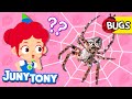 I’m Not An Insect | 🕷Spider, Earthworm | Facts About Bugs | Insect Songs for Kids | JunyTony