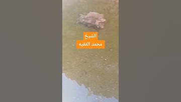 الشيخ #محمد_الفقيه تلاوة جميلة