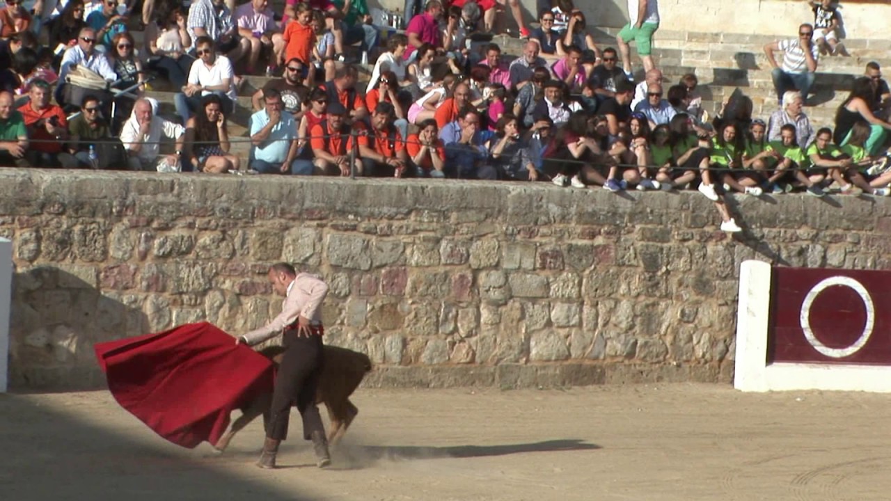 Becerrada Benéfica 2016 Asociación Taurina Riosecana de Medina de Rioseco