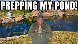 How I get my Pond ready for the warm season