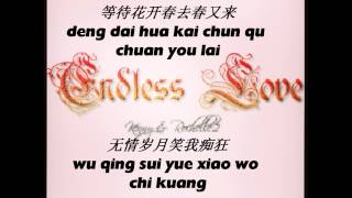 美丽的神话 Mei Li De Shen Hua (Duet Cover By Kenny Yeo And Rochelle Ng) (Lyrics Video)