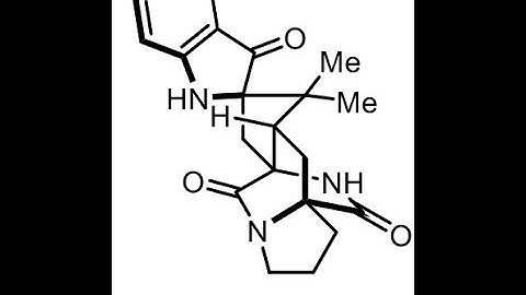 Total Synthesis of the Insecticidal Metabolite Brevianamide A Synthesis with Dr. Blane Zavesky