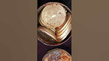 FOUND $10 Million Dollars in Buried GOLD Coins!
