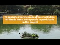 Reviving a lake using artificial wetlands in Delhi