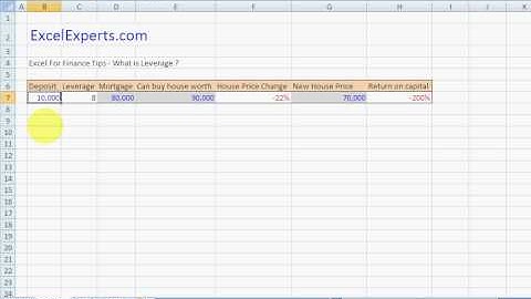 ExcelExperts.com -Excel For Finance Tips - What is Leverage ?