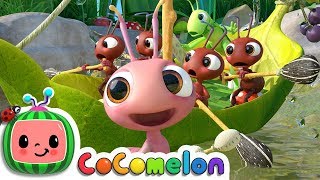 Row Row Row Your Boat Ant Version Cocomelon Nursery Rhymes Kids Songs