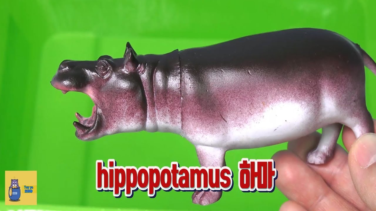 귀여운 하마부터 무서운 공룡까지 다 모였다 다양한 동물친구들의 이름을 장난감으로 배워봅시다 Play and Learn kids english with many animal toys