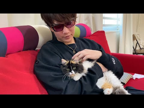吉田くんの飼い猫初紹介