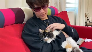 吉田くんの飼い猫初紹介