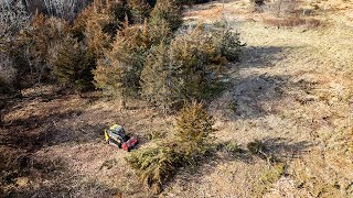 Exploding Cedar Trees - JCB 3TS-8T