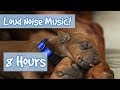 MUSIC FOR DOGS! Soothing Music for Anxious Dogs, Perfect for July 4th Fireworks and Loud Noises 🐶🎆