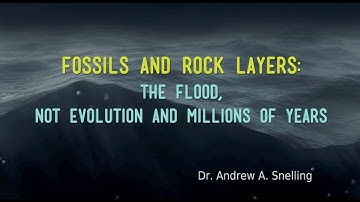 Fossils and Rock Layers: The Flood, not Millions of Years and Evolution (Dr. Andrew Snelling)