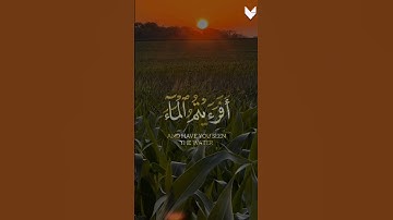 قران كريم 🌿 تلاوة خاشعة من سورة الواقعة 🌿 القارئ شريف مصطفى 🌿