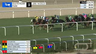 Vidéo de la course PMU SUNSHINE FILLY AND MARE TURF STAKES