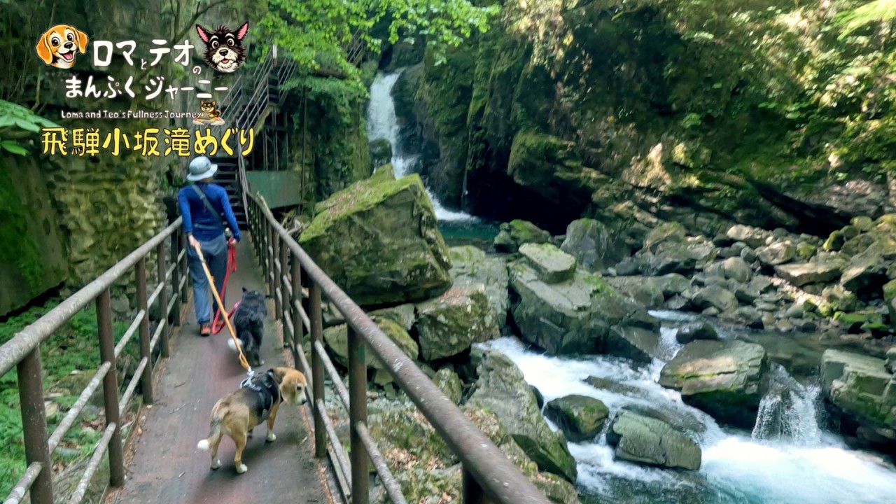 Seeking coolness in early summer, we headed to Gandate Gorge. A
