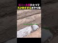 農作業を手伝ってくれる「ペットのスライム」現るwww