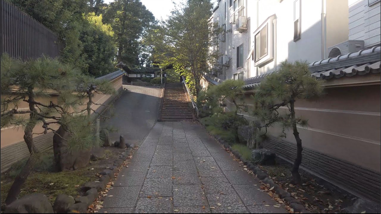 大井町～立会川 2021  Oimachi to Tachiaigawa Tokyo