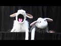 Baa We're Lambs | Puppet Parody (Barbara Ann, The Beach Boys)