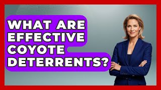 What Are Effective Coyote Deterrents? - The Marksman's Journal