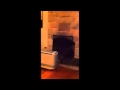 Test Only
