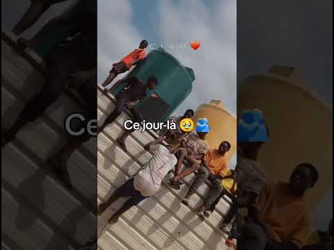 Https Vm Tiktok Com ZMAFeMAev 