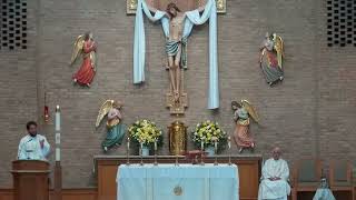 Transitions and Gratitude - Homily by Fr. John Kladar (May 20, 2026)