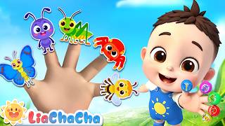 Finger Family Song bugs Version  Ep286  Learn Insects  Toddler   Liachacha