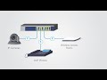 Introducing NETGEAR Business Unmanaged Switches | GS516PP, GS524PP, GS516UP, GS524UP