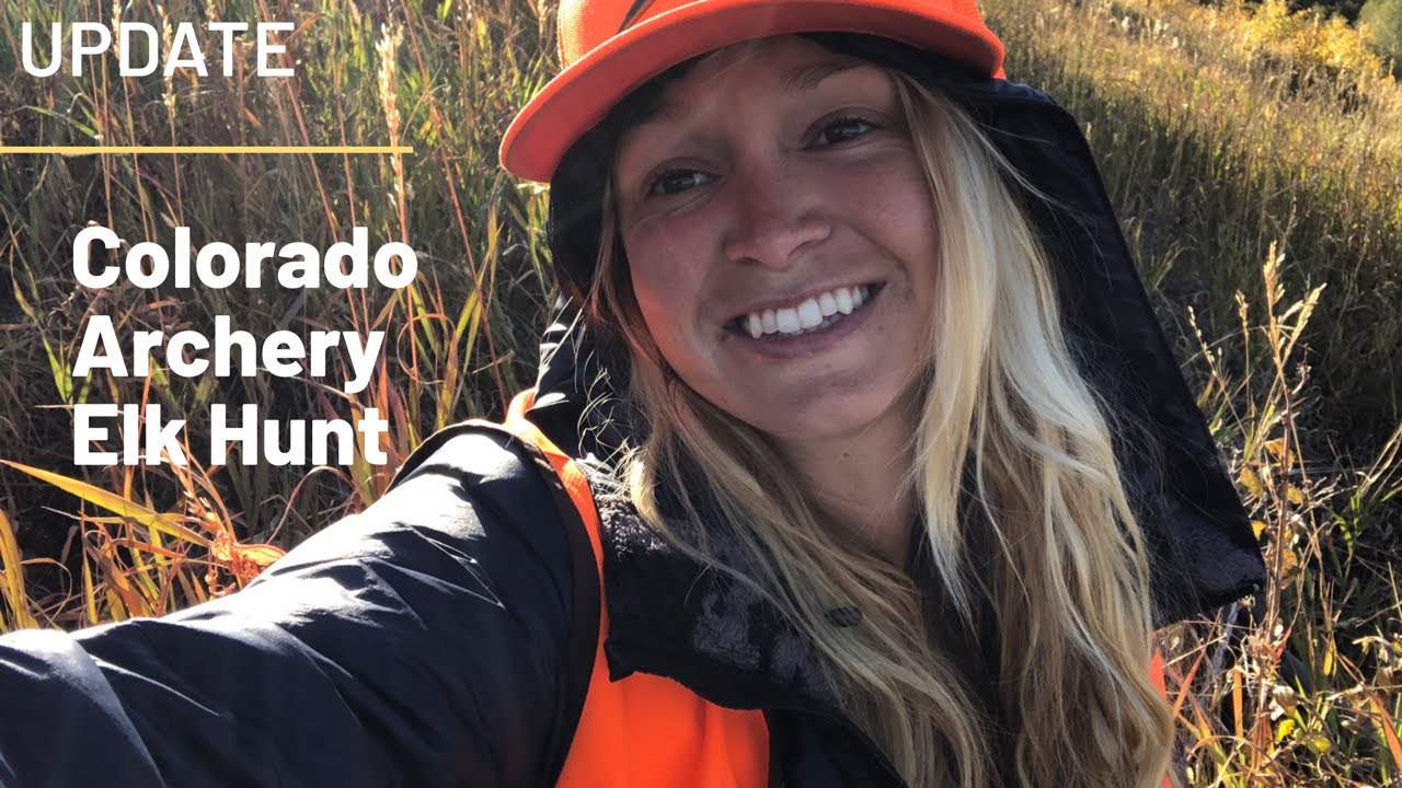 Colorado Archery Elk Hunt UPDATE!!! YouTube