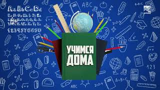 картинка: Учимся дома. 2 класс. Русский язык: Имя существительное