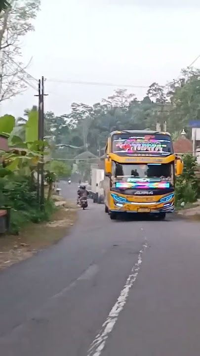 Telolet Basuri Aiya Susanti Disambut Mania Joget kegirangan #teloletbasuri #basuri #busmania