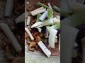 দেশীয় শুটকি, সেই স্বাদে ভরপুর