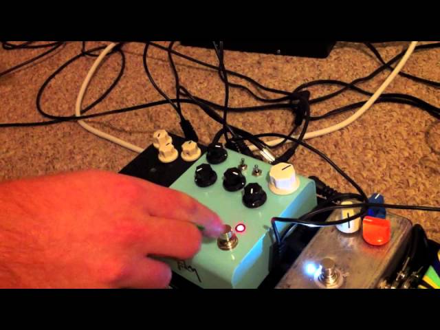 Strymon El Capistan dTape Echo Delay - Bass Guitar Demo