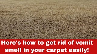 How to Get Rid of Vomit Smell in your Carpet [Detailed Guide]