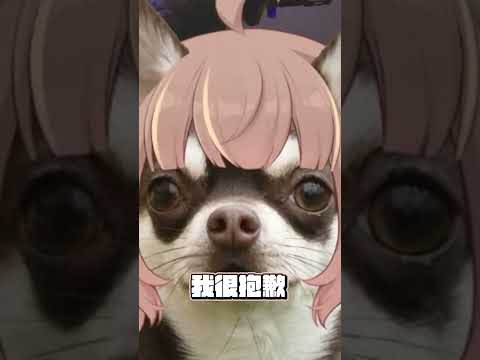 水餃杯結束了但是屬於我們的諧咖獎還在繼續【杏仁ミル精華】@SamoAgoch @LOL勝敗難免