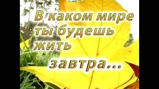 Diplom Danilchenko Kucher Ne sori