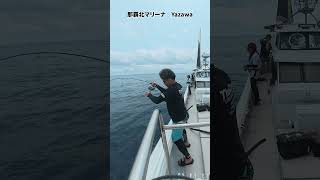 バーチカルティップランアタリの出方 #shorts