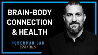 Improving Health With Stronger Brain-Body Connection | Andrew Huberman