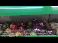 Peserta Magang Taiwan Belajar Pemasaran