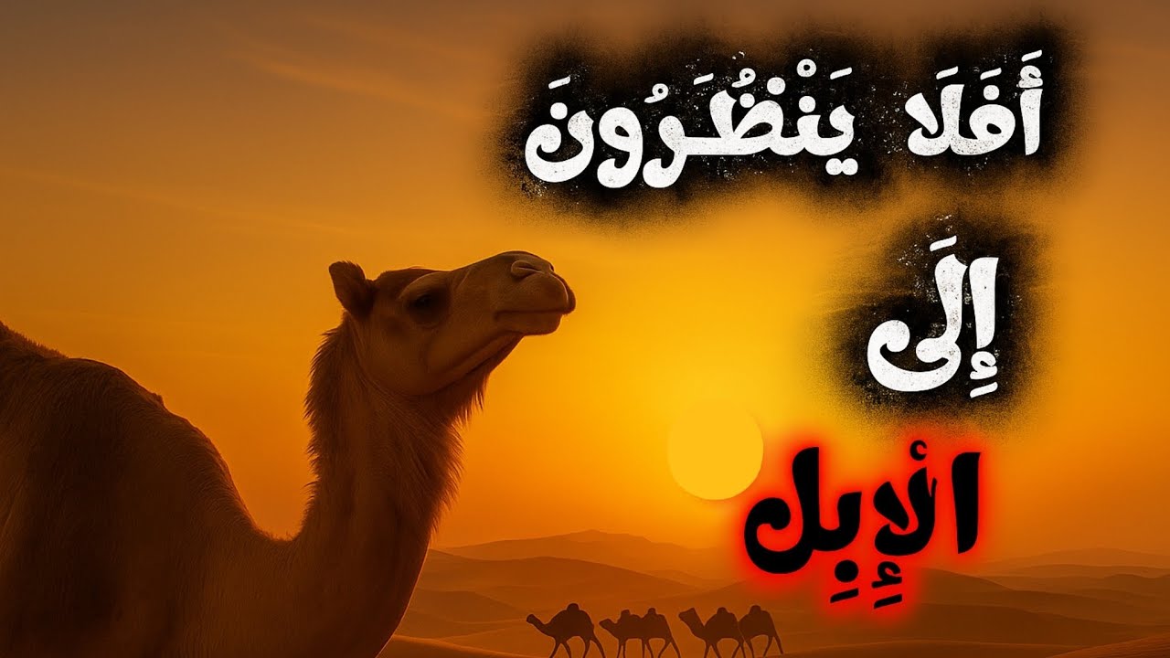 لماذا خلق الله الإبل بهذه الطريقة؟ حقائق ستغيّر نظرتك لها للأبد 😱🔥