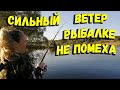 Вечерняя рыбалка в сильный ветер отчет