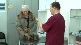 ВЕТЕРИНАРЫ ПРИЗЫВАЮТ ПРИВИВАТЬ ДОМАШНИХ ЖИВОТНЫХ ОТ БЕШЕНСТВА ВЕТЕРИНАРЫ ПРИЗЫВАЮТ ПРИВИВАТЬ ДОМАШНИХ ЖИВОТНЫХ ОТ БЕШЕНСТВА